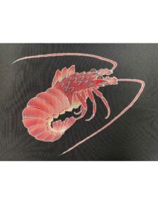 【小紋 KOMON】 黒緑色　縁起が良すぎる伊勢海老尽くし★正絹袷