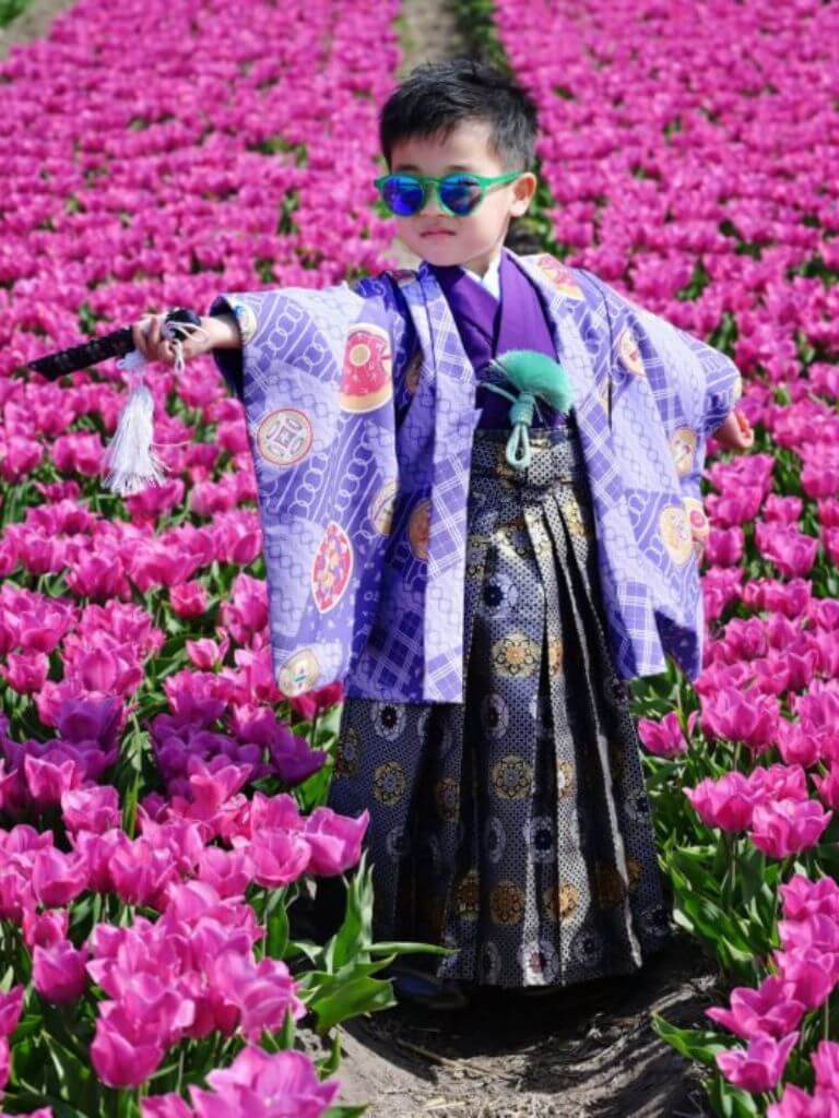 【七五三Boy男の子　3歳】 薄葡萄色（うすぶどういろ）ポップな吉祥尽くし