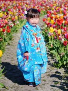 【七五三Girl女の子　3歳/5歳】澄み渡る青空色　晴れの日の鞠と桜