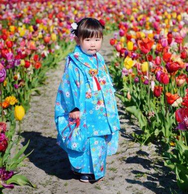【七五三Girl女の子　3歳/5歳】澄み渡る青空色　晴れの日の鞠と桜